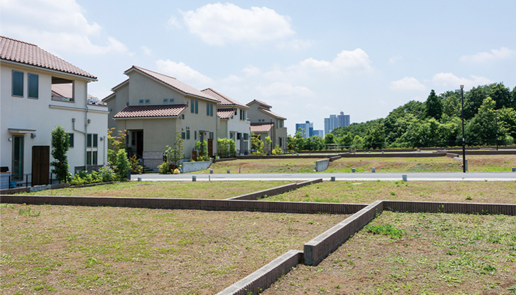 【徹底比較!資産活用の決断ポイント】広い土地の活用は「一体利用」と「分割利用」のどちらが良い?