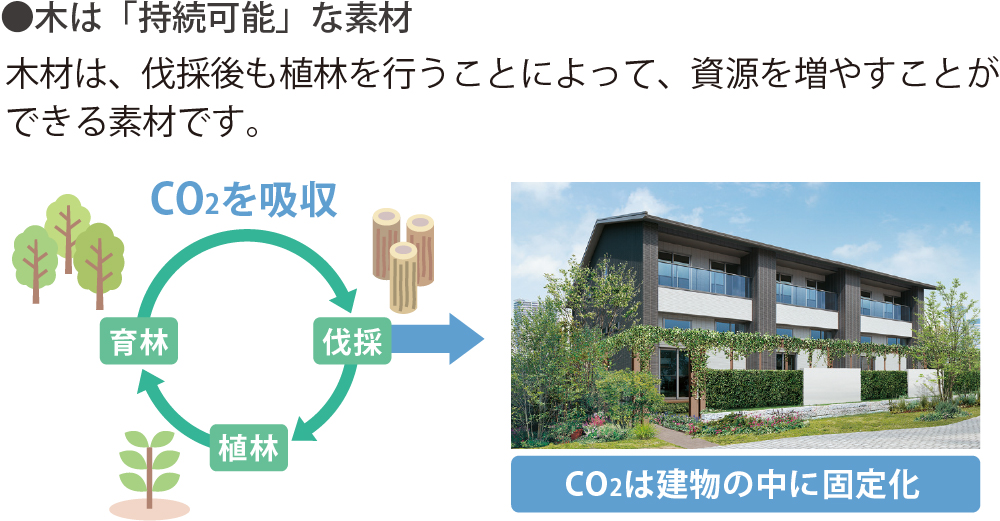 木は「持続可能」な素材